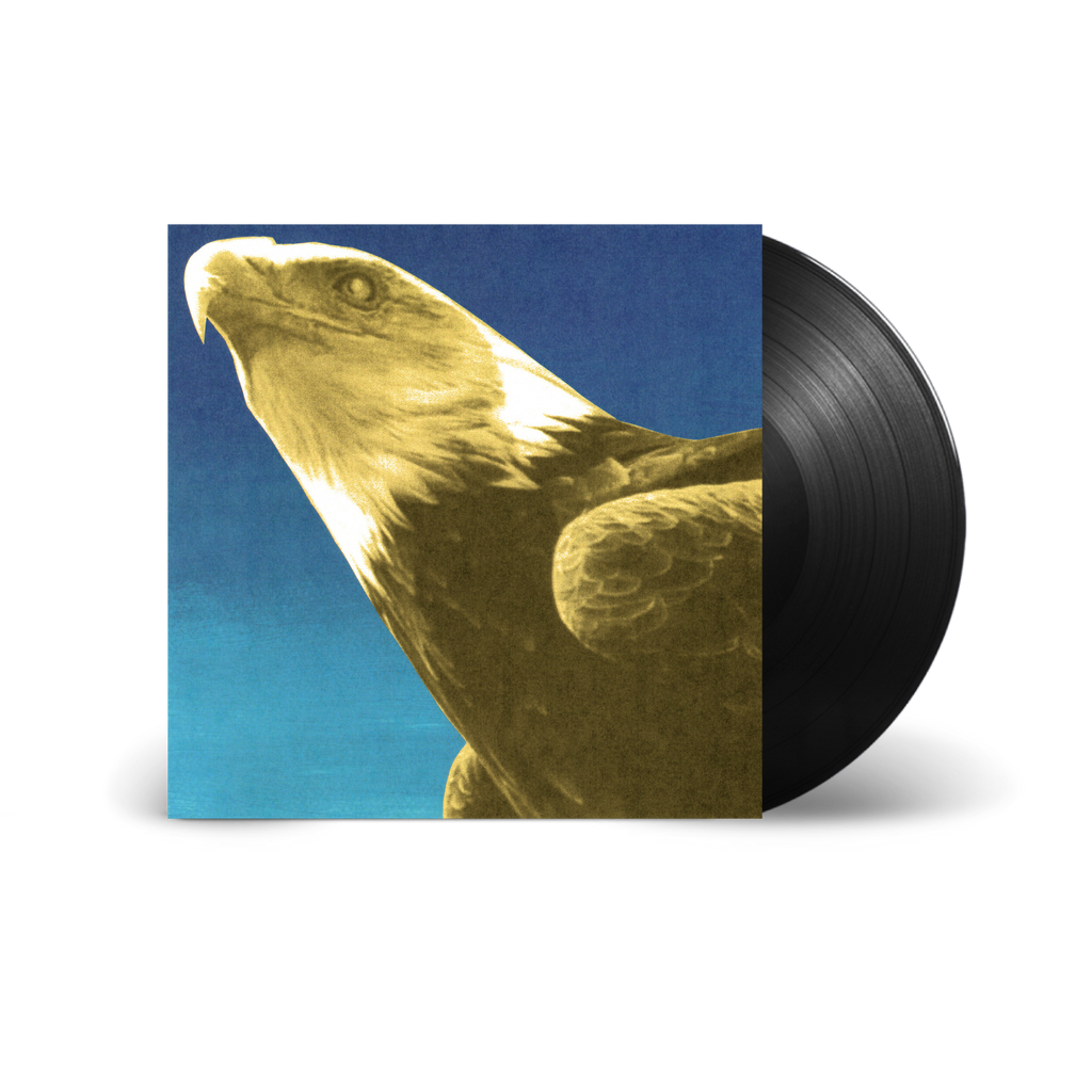 Protomartyr / Hotel Usona LP Black Vinyl ***PRE-ORDER***