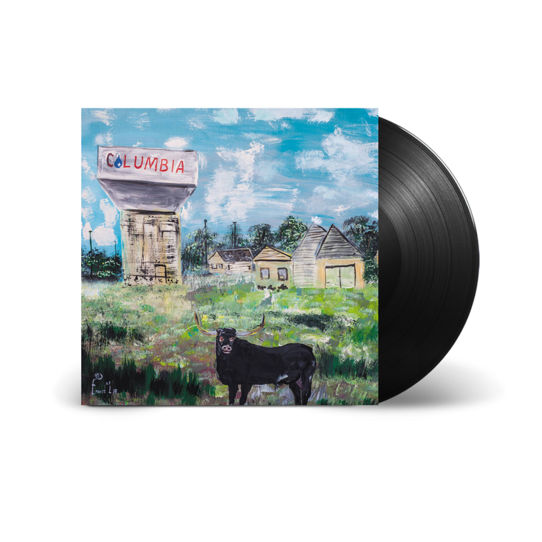 Toro y Moi / Sandhills LP Vinyl