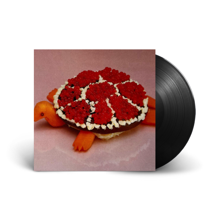 Sharp Pins / Turtle Rock LP Vinyl