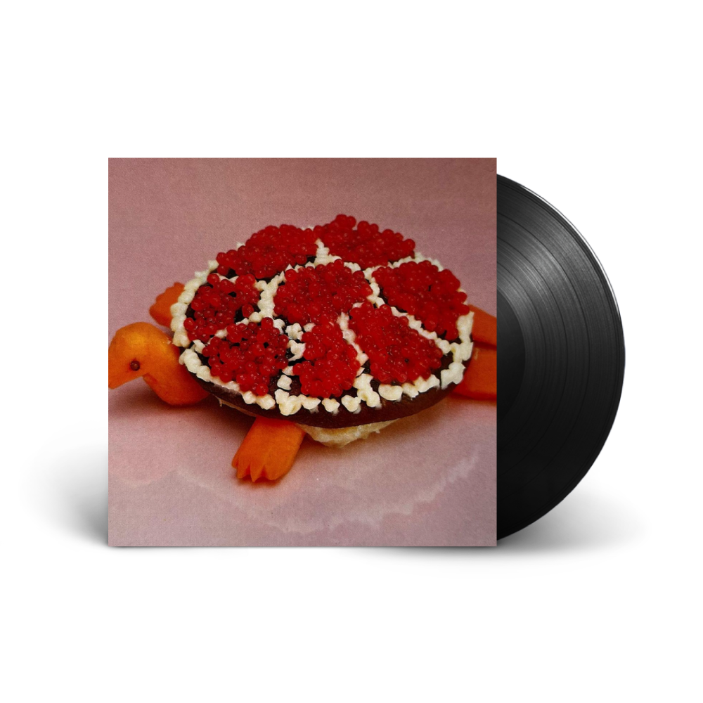 Sharp Pins / Turtle Rock LP Vinyl