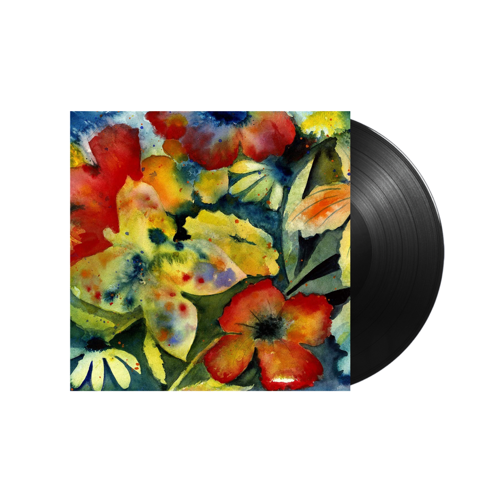 Adrianne Lenker / Songs and Instrumentals 2xLP Vinyl