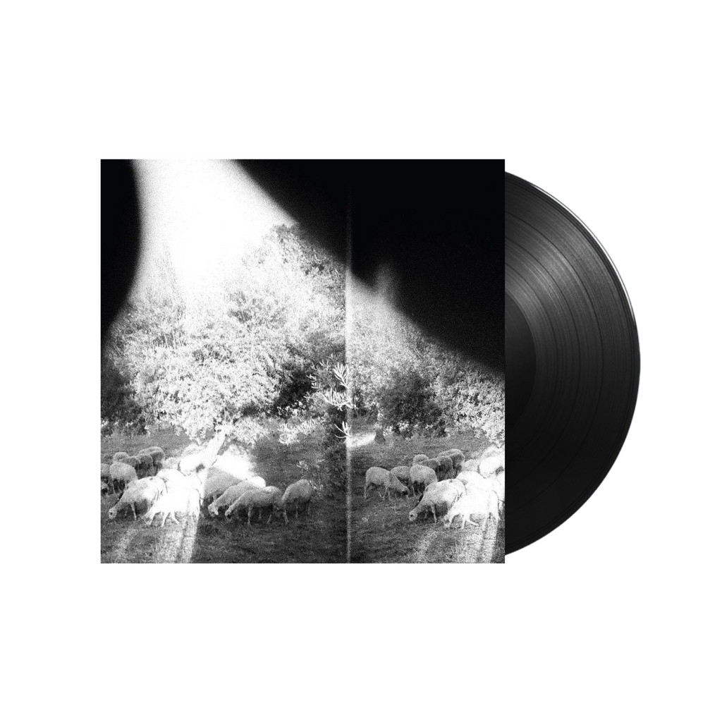 Godspeed You! Black Emperor / Asunder, Sweet And Other Distress LP 180gram LP