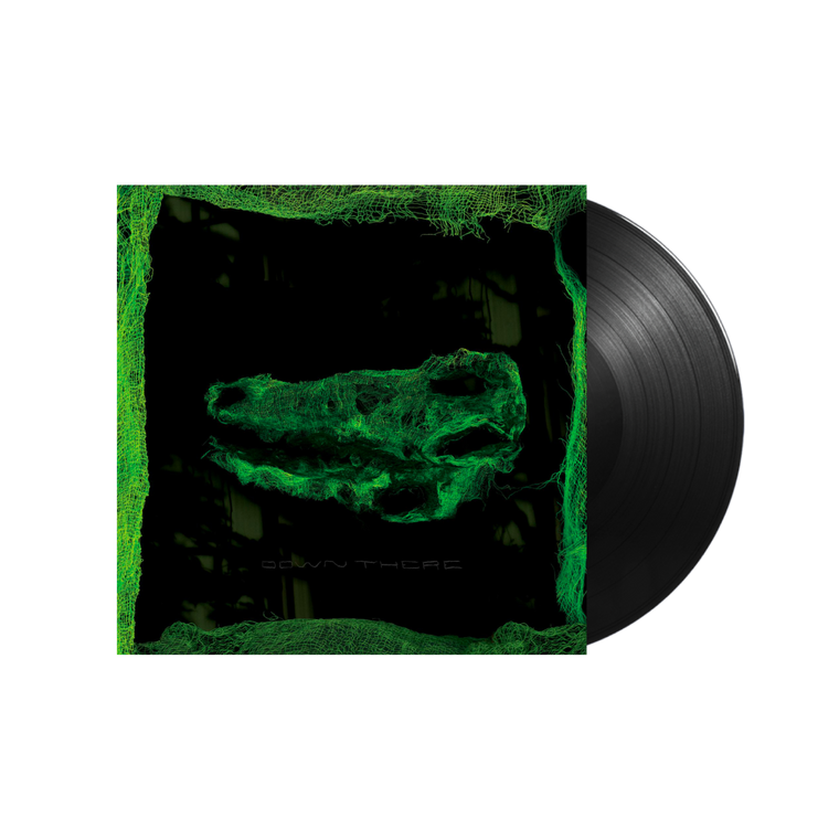Avey Tare / Down There LP Vinyl