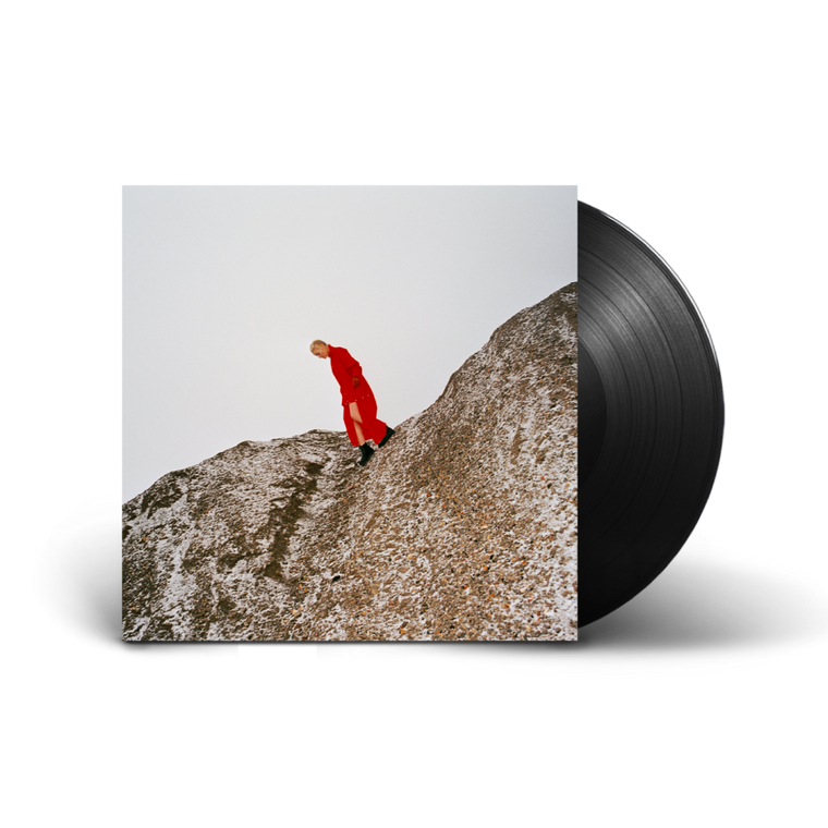 Cate Le Bon / Reward LP Vinyl