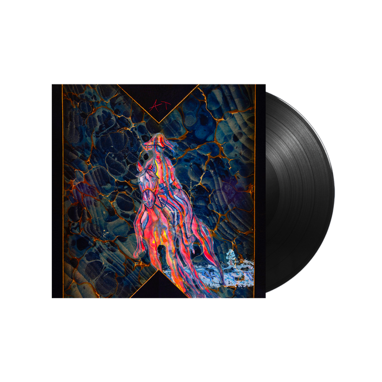 Avey Tare / Cows on Hourglass Pond LP Vinyl