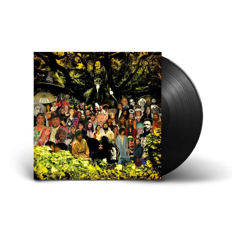 Devendra Banhart / Cripple Crow 2xLP Vinyl