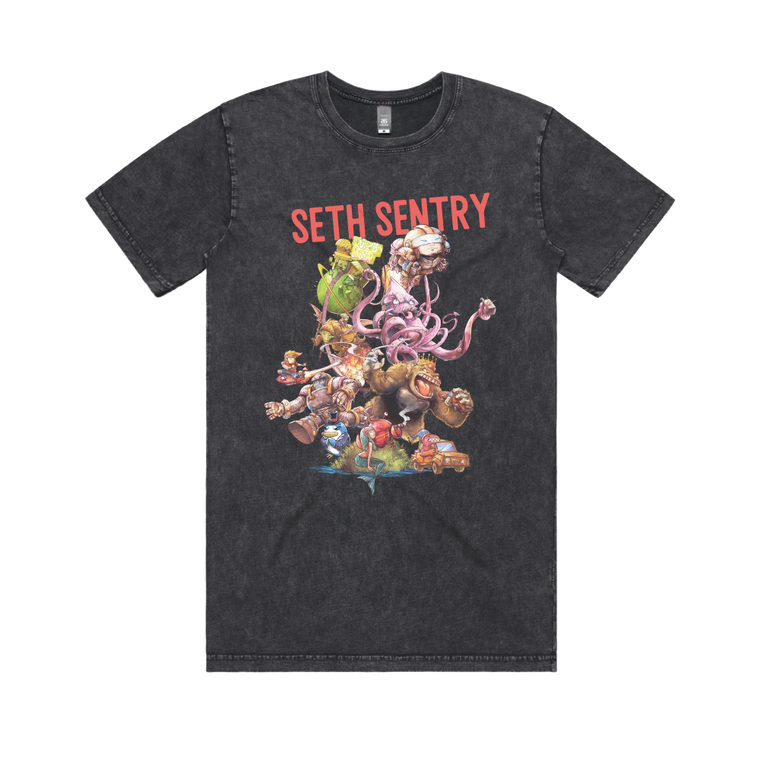 Seth Sentry / Character Stone Washed T-Shirt