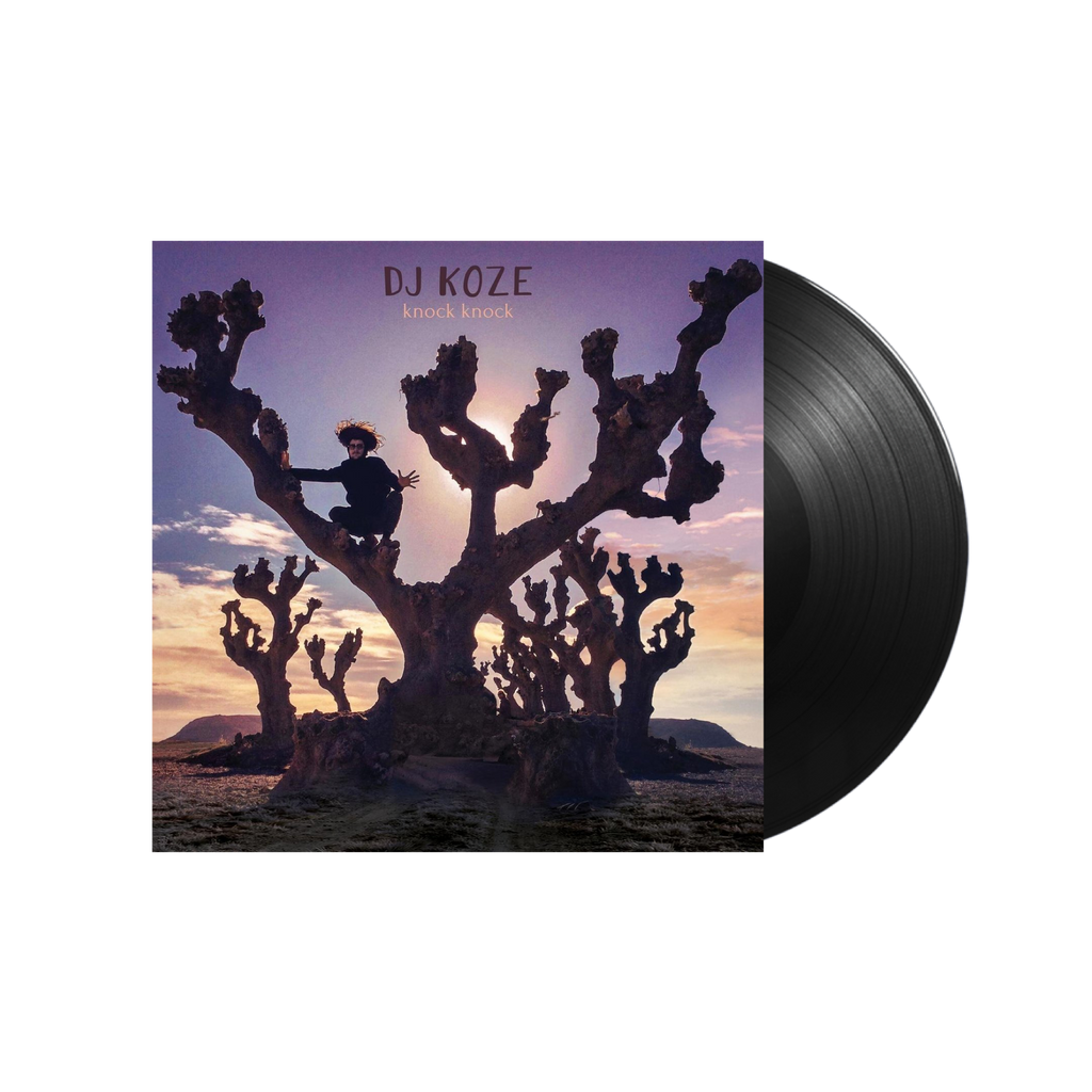 DJ Koze / Knock Knock 2xLP Vinyl