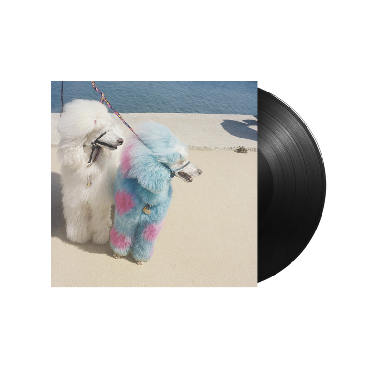 EXEK /  Advertise Here LP Vinyl