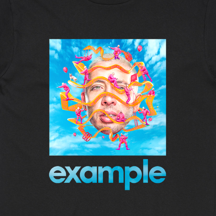 Example / Black T-Shirt