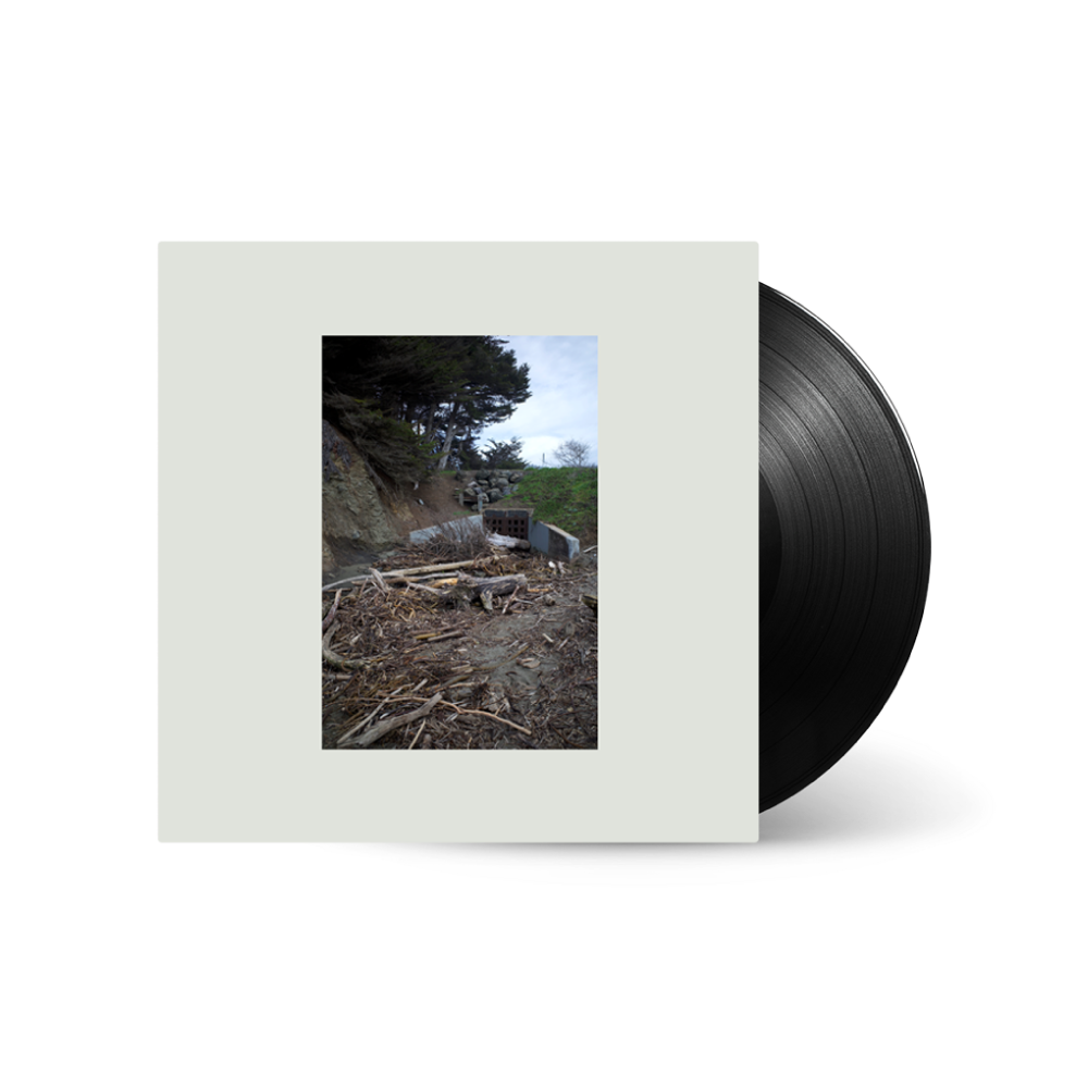 Mac DeMarco / Five Easy Hot Dogs LP Vinyl