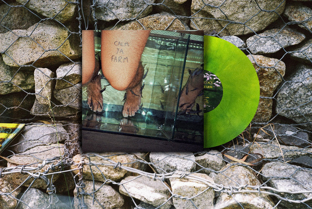 The Murlocs / Calm Ya Farm 12" Vinyl