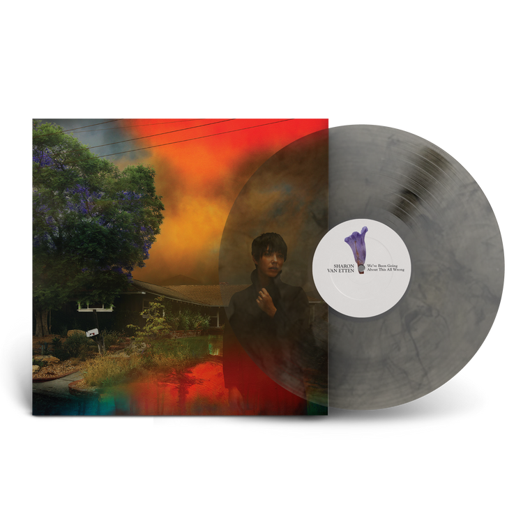 Sharon Van Etten / We’ve Been Going About This All Wrong LP Indie Exclusive Marble Smoke Vinyl