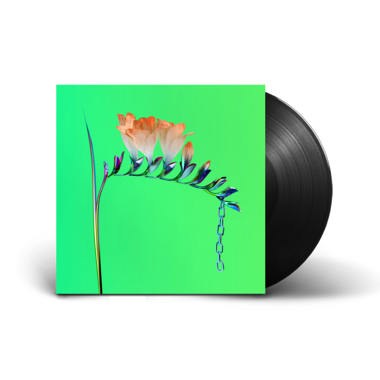 Flume / Skin Companion EP 1 12" Vinyl