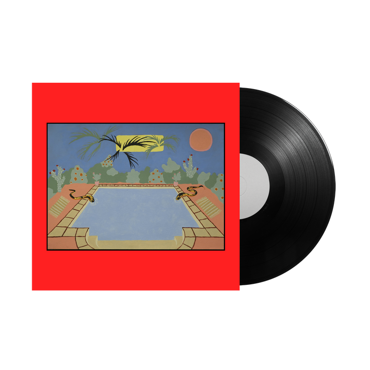 The Snakes / The Snakes LP Vinyl
