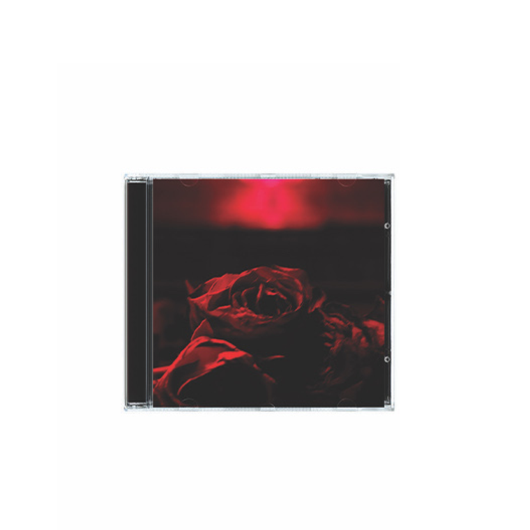 The Paper Kites / Roses CD