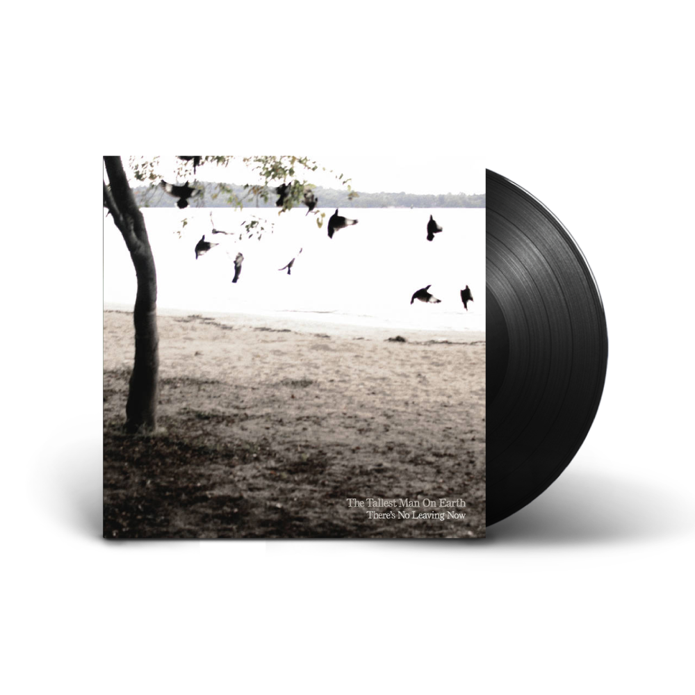 Dark Bird Is Home  / 12" vinyl