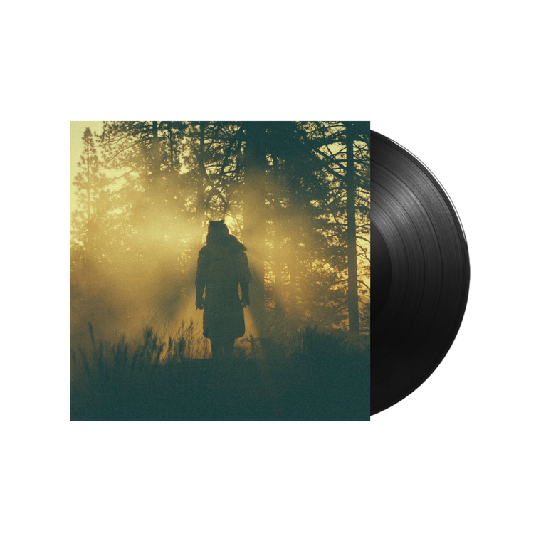 Thundercat / The Beyond  Where Giants Roam Vinyl
