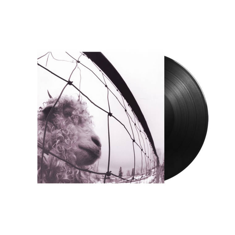 Pearl Jam / Vs. LP 180gram Vinyl