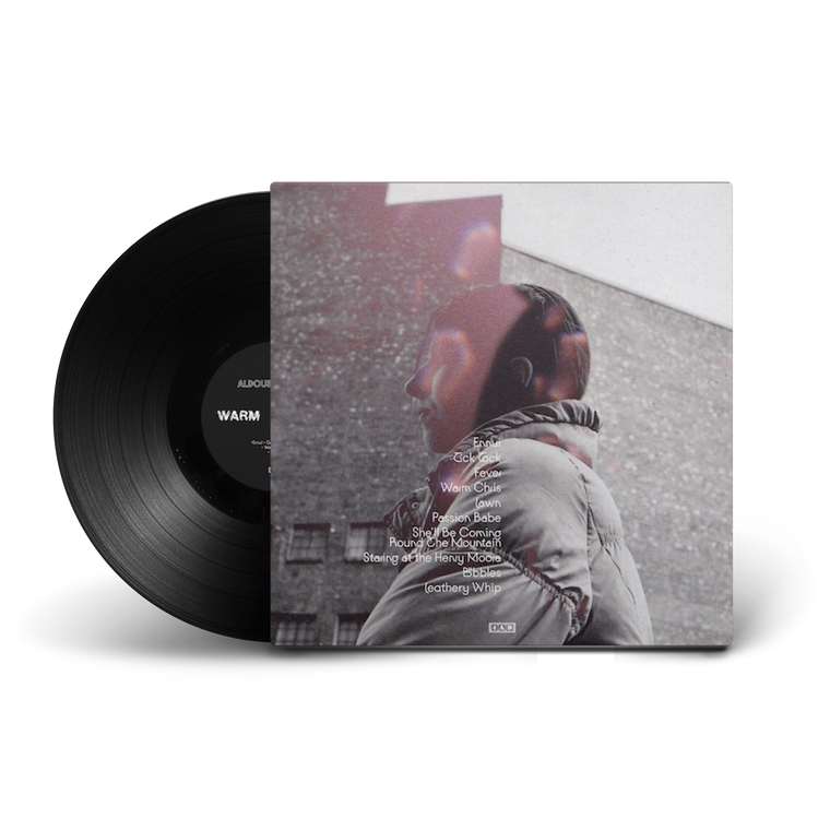 Aldous Harding / Warm Chris LP Vinyl