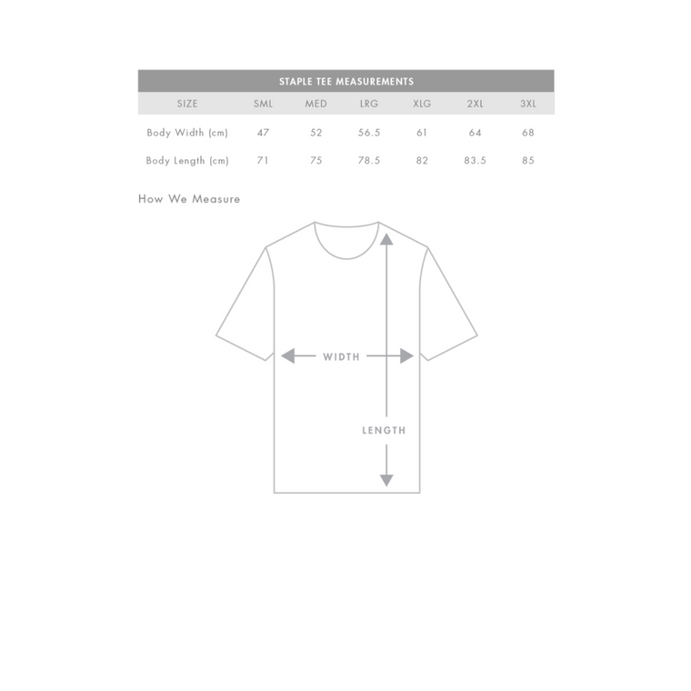 Mr Experience / Black T-shirt
