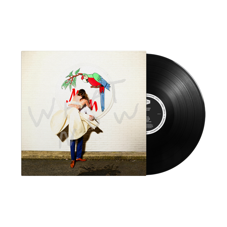 Now What / LP 12"