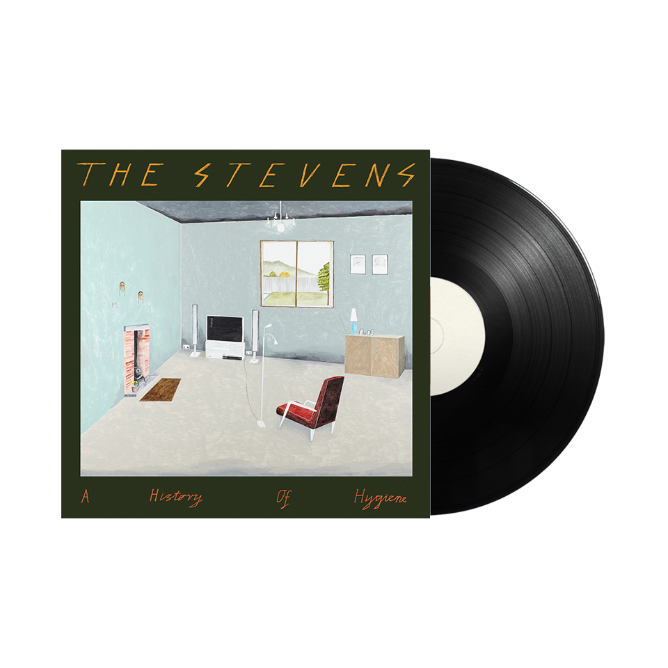 The Stevens / A History of Hygiene 12" Vinyl